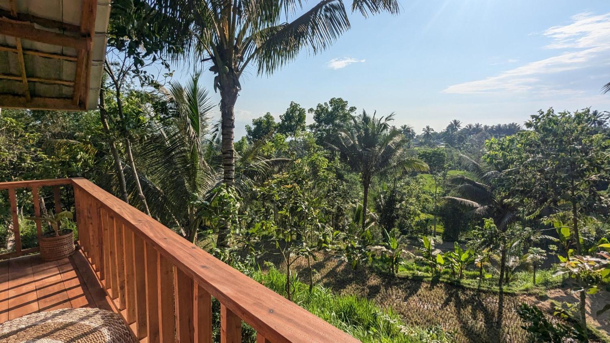 Villa Luna Tetebatu Dış mekan fotoğraf